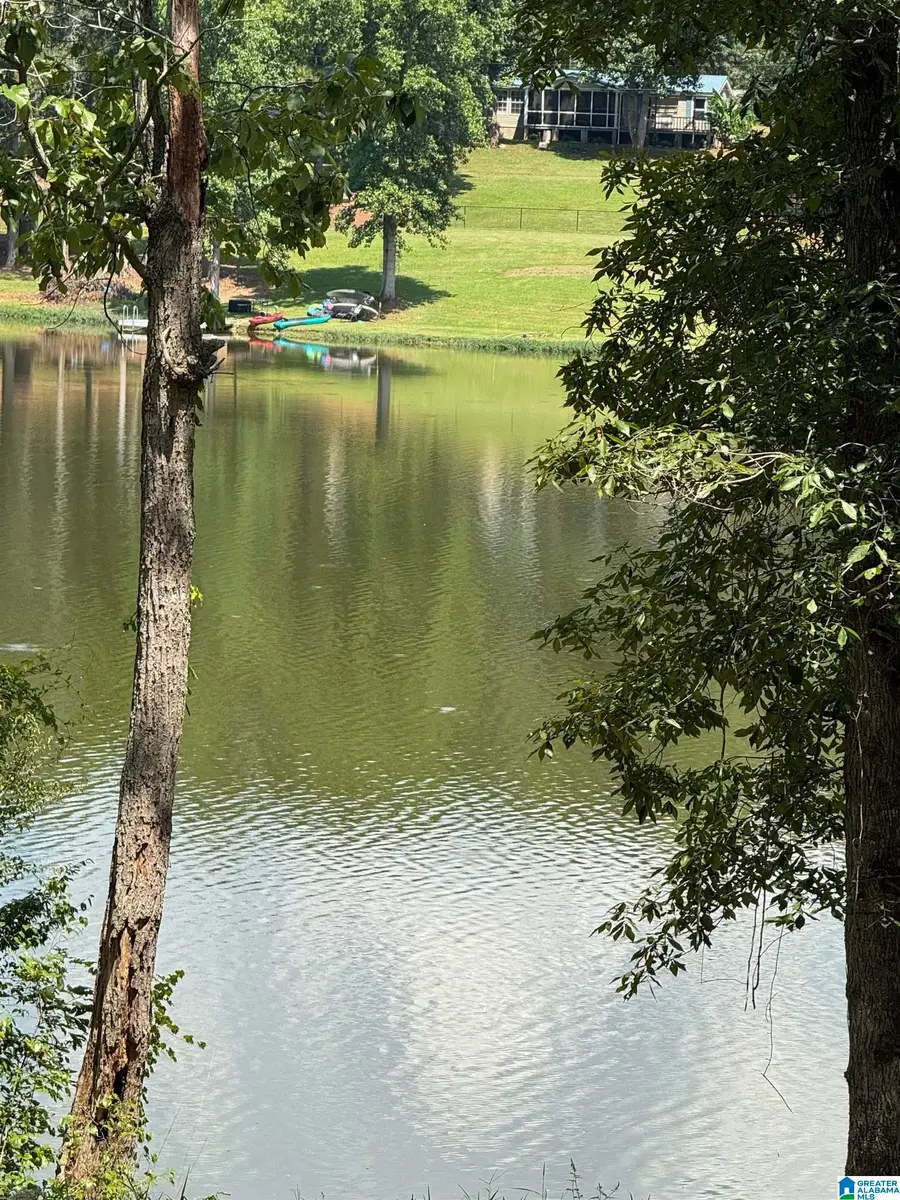 Lot 6 Cam's Cov OLD HIGHWAY 431, Wedowee, AL 36278 - #3