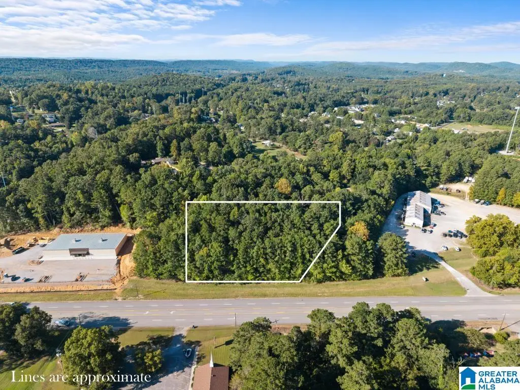 00 HIGHWAY 231, Oneonta, AL 35121 - #1