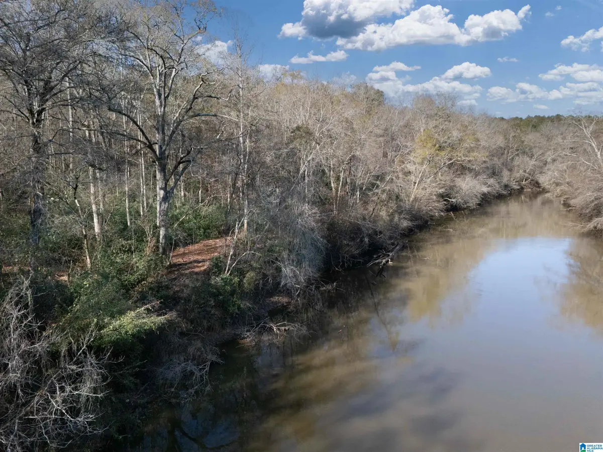 0 COUNTY ROAD 432, Woodland, AL 36280 - #1