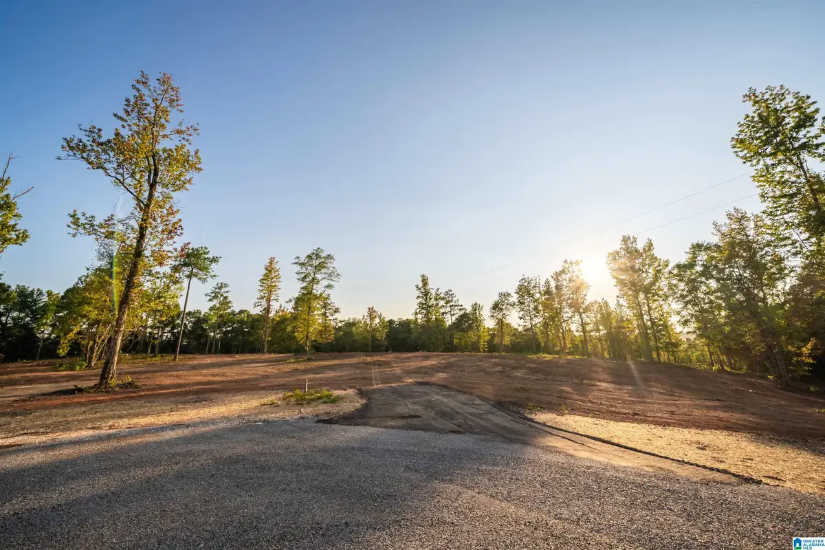 Lot13 Cam's Cov OLD HIGHWAY 431, Wedowee, AL 36278 - #1