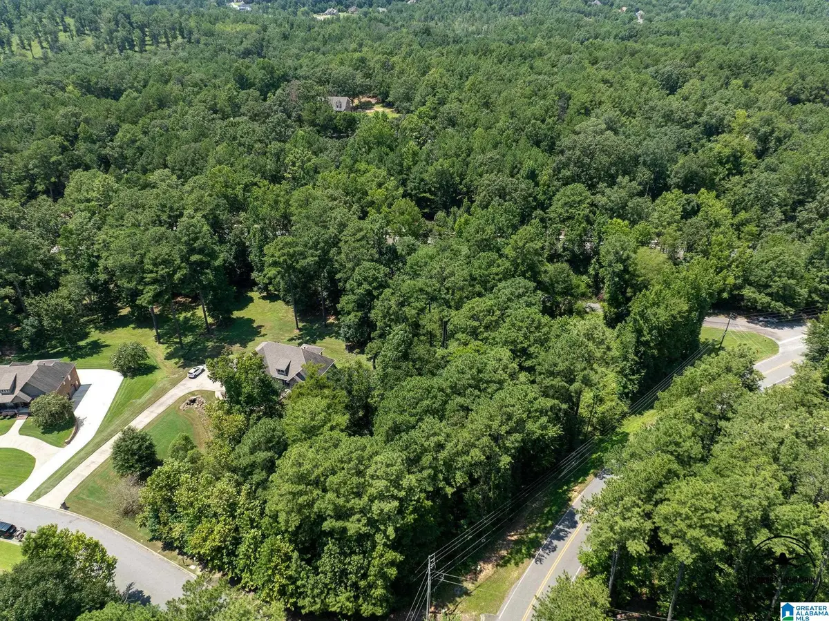 243 ANNA CREEK DRIVE, Helena, AL 35080 - #1