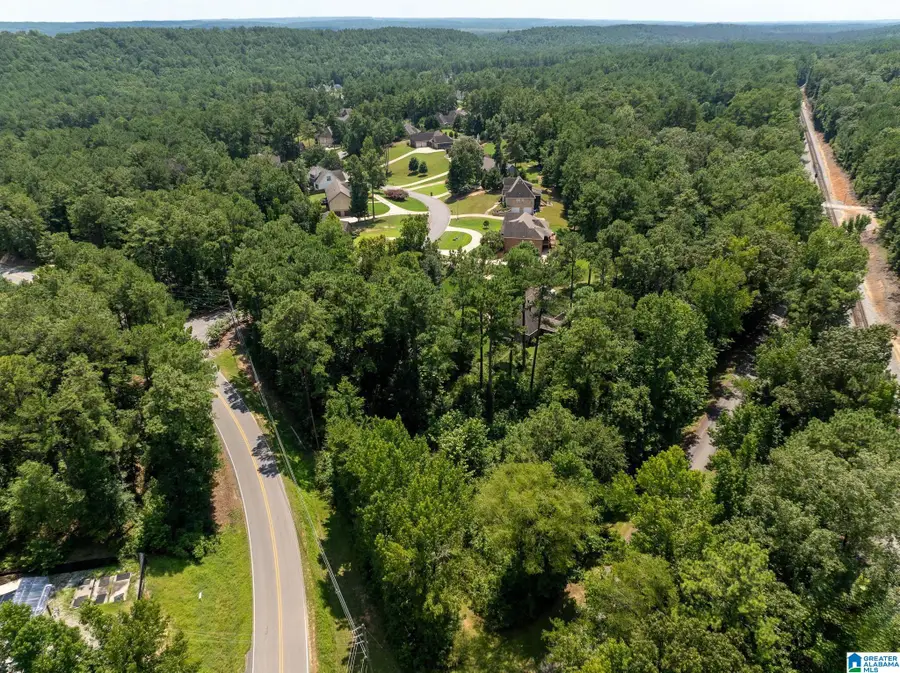 243 ANNA CREEK DRIVE, Helena, AL 35080 - #3