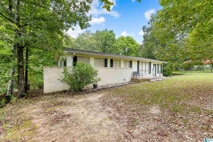 7846 BAGLEY ROAD, Dora, AL 35062 - #3