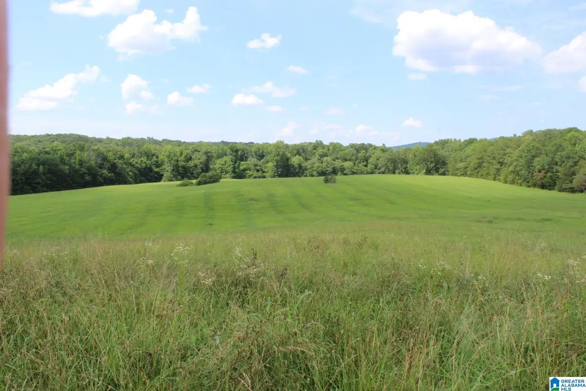 0 JENIFER ROAD, Munford, AL 36268 - #1