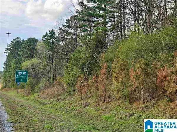 0 W HIGHWAY 280, Sylacauga, AL 35150