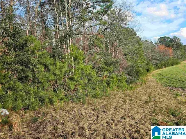 0 W HIGHWAY 280, Sylacauga, AL 35150 - #3