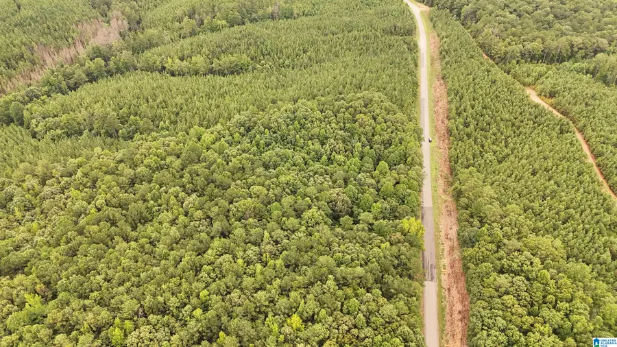 0 COUNTY ROAD 33, Fruithurst, AL 36262 - #3