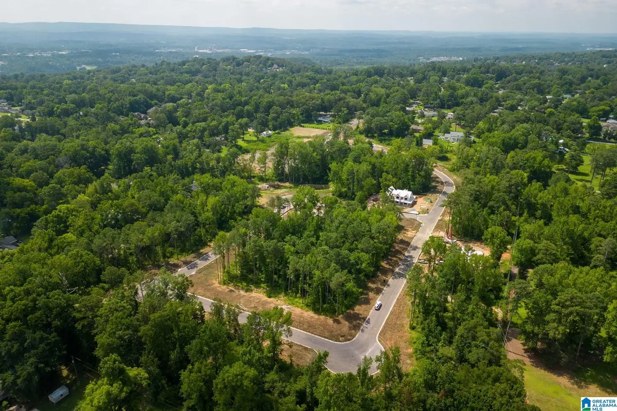 3412 SMITH FARM DRIVE, Hoover, AL 35226 - #1