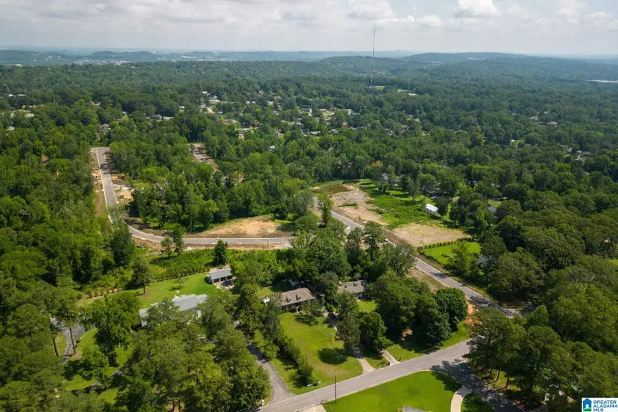3412 SMITH FARM DRIVE, Hoover, AL 35226 - #3