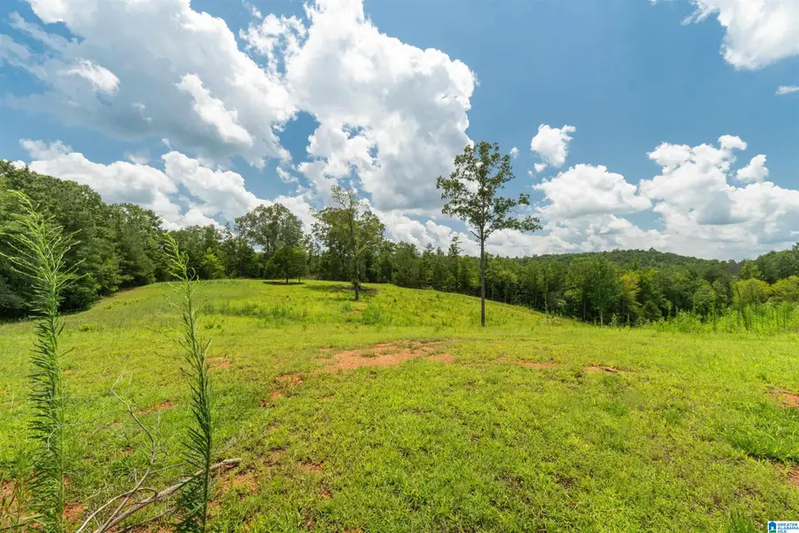 8.19 B WOODGATE SHORES DRIVE, Wedowee, AL 36278 - #3