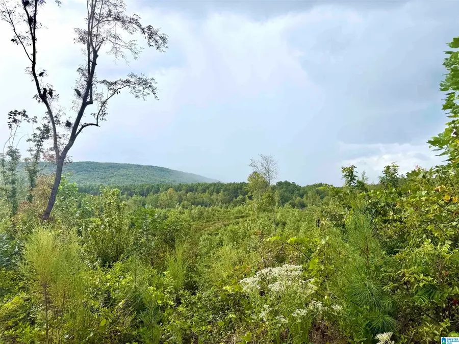 0 NUBBIN CREEK ROAD, Lineville, AL 36258 - #3
