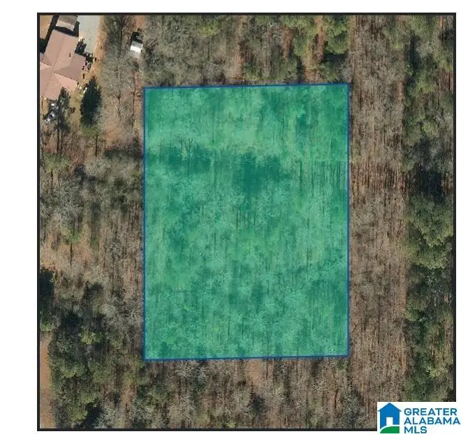 0 JONES ROAD, Talladega, AL 35160 - #1