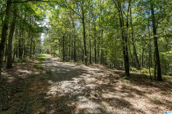 1385 COUNTY ROAD 467, Harpersville, AL 35178