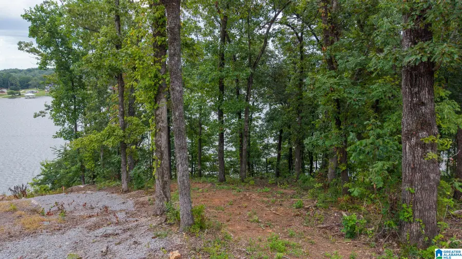 767 LAKEVIEW CREST DRIVE, Pell City, AL 35128 - #3