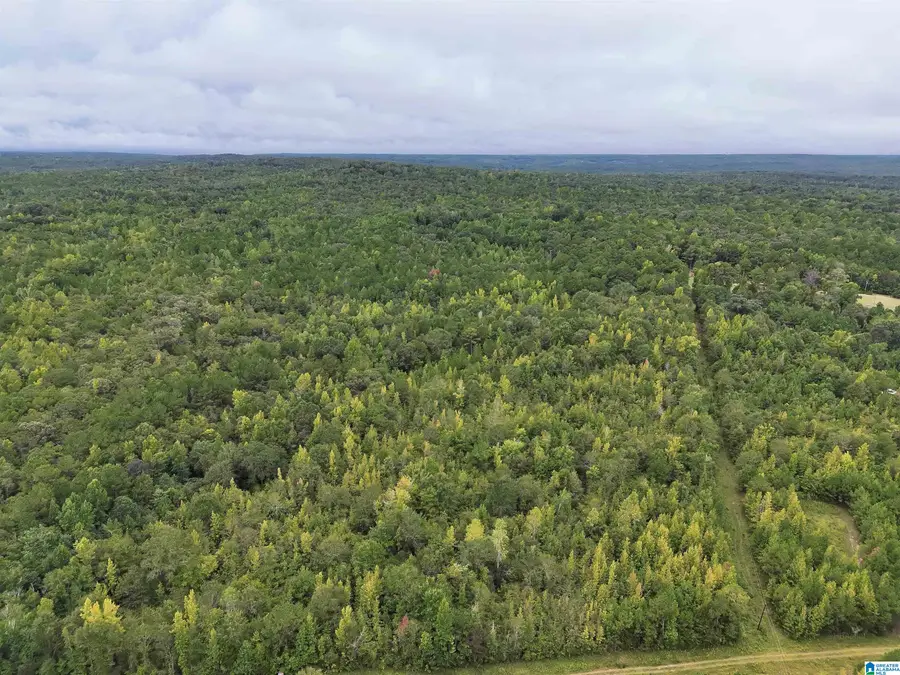 0 SCROGGINS DRIVE, Tallassee, AL 36078 - #3