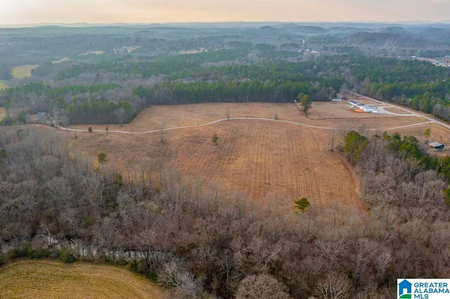 LOT 2 CEDAR SPRINGS DRIVE, Jacksonville, AL 36265 - #3