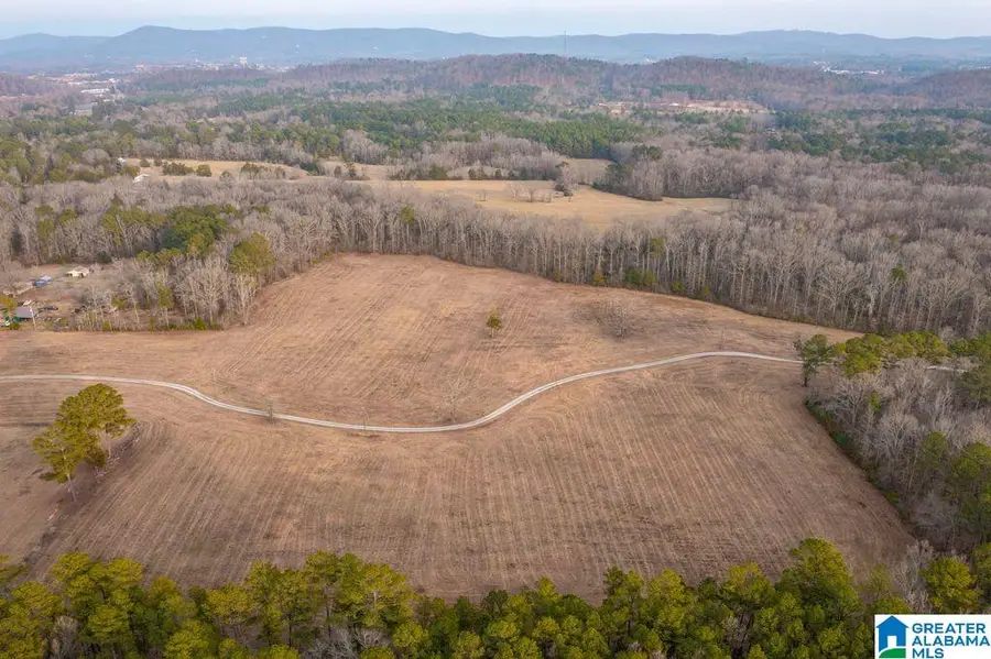 LOT 8 CEDAR SPRINGS DRIVE, Jacksonville, AL 36265 - #2