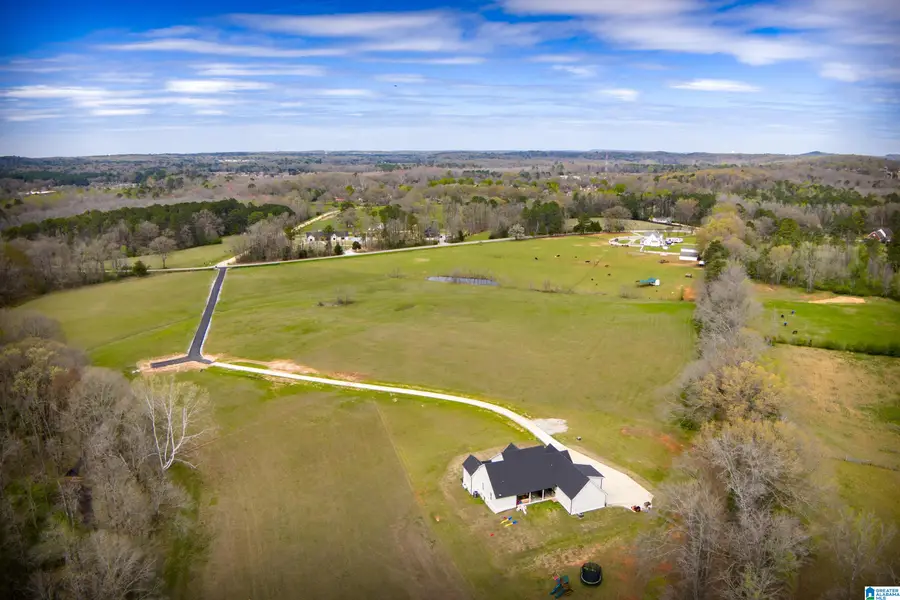 810 COUNTY ROAD 24, Alabaster, AL 35007 - #2