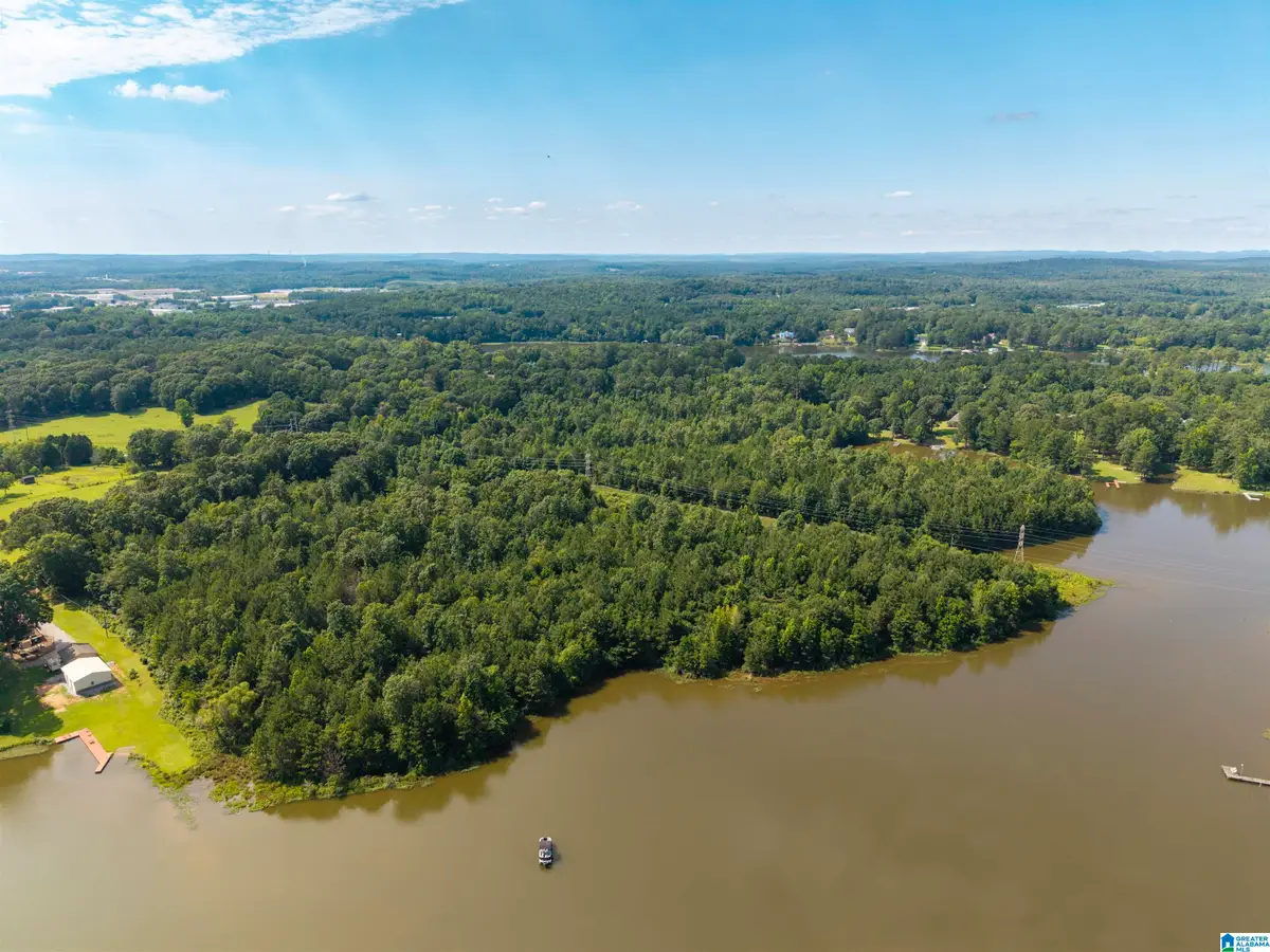 0 SEDDON SHORES DRIVE, Pell City, AL 35128 - #1