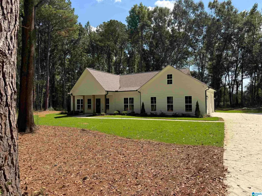 30316 HIGHWAY 25, Wilsonville, AL 35186 - #2