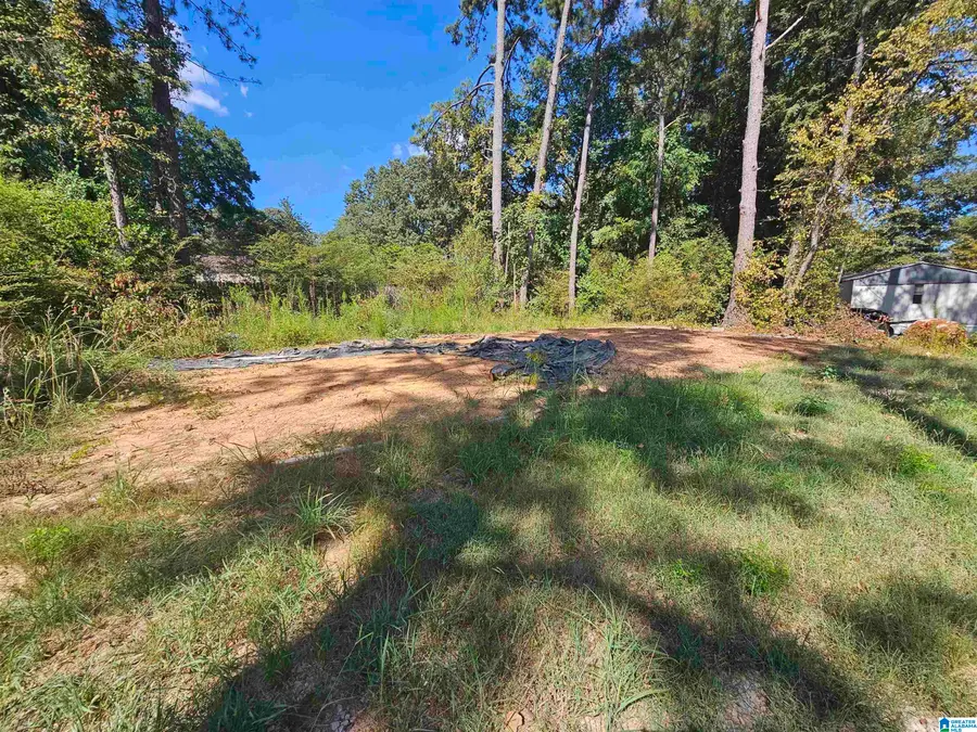 107 BROADLEAF DRIVE, Talladega, AL 35160 - #2