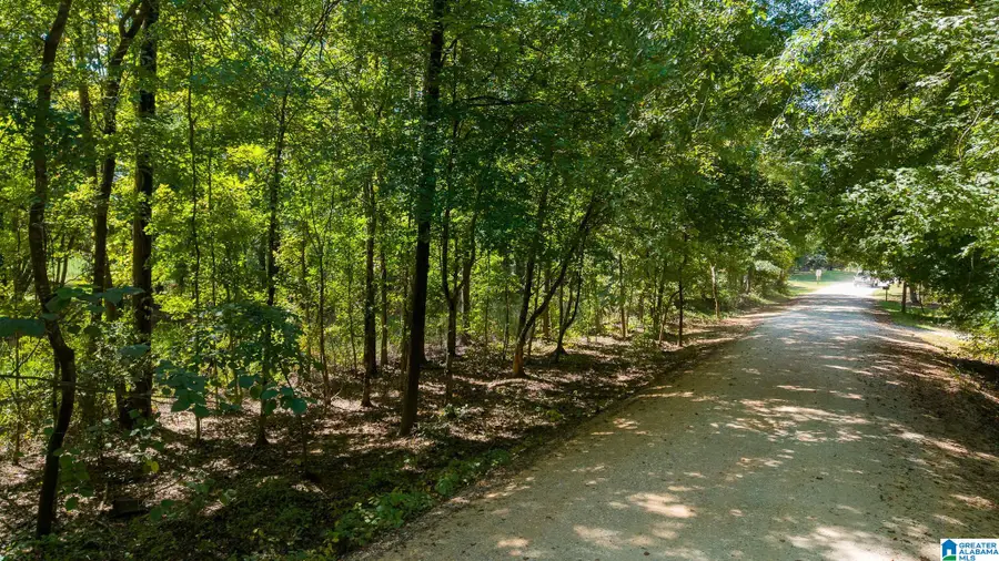 LOWER GATE LANE, Childersburg, AL 35044 - #3