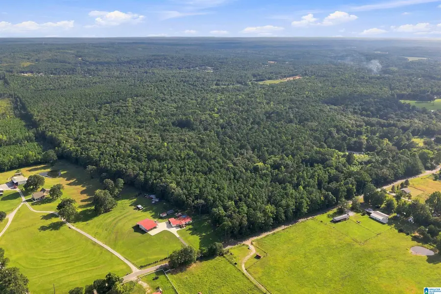 0 COUNTY ROAD 128, Jemison, AL 35085 - #2