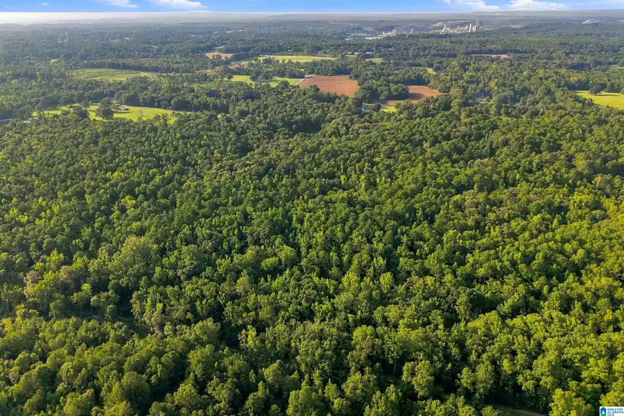 0 COUNTY ROAD 128, Jemison, AL 35085 - #3