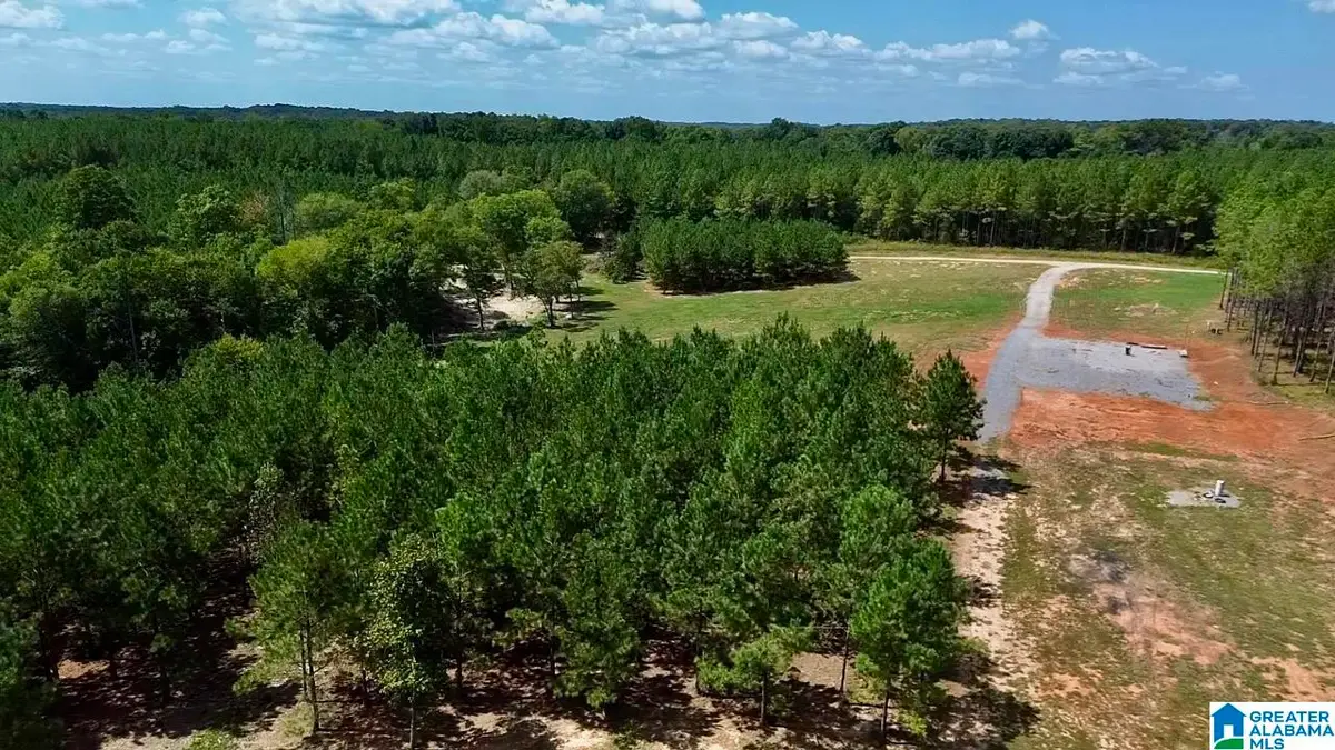 576 HIGHWAY 61, Columbiana, AL 35051 - #1