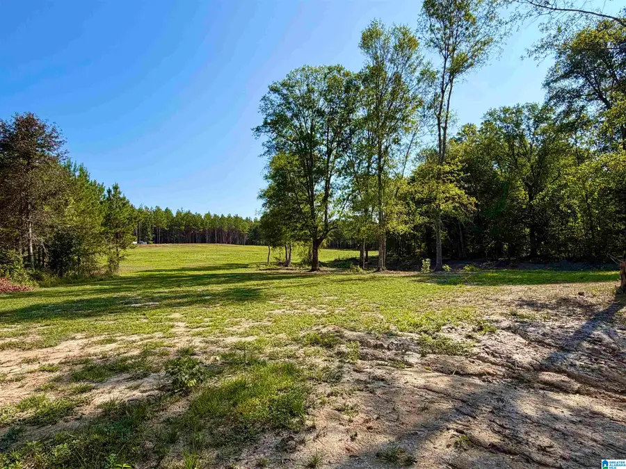 576 HIGHWAY 61, Columbiana, AL 35051 - #2
