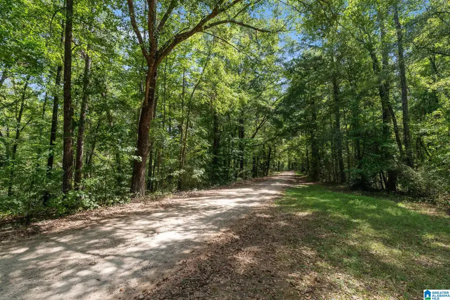 0 GARDNER DRIVE, Chelsea, AL 35043 - #2