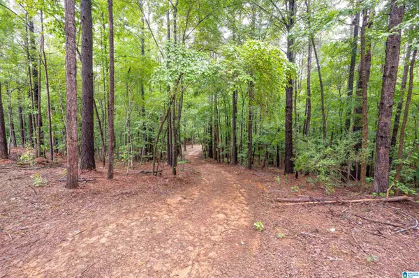 284 NICHOLS ROAD, Chelsea, AL 35043