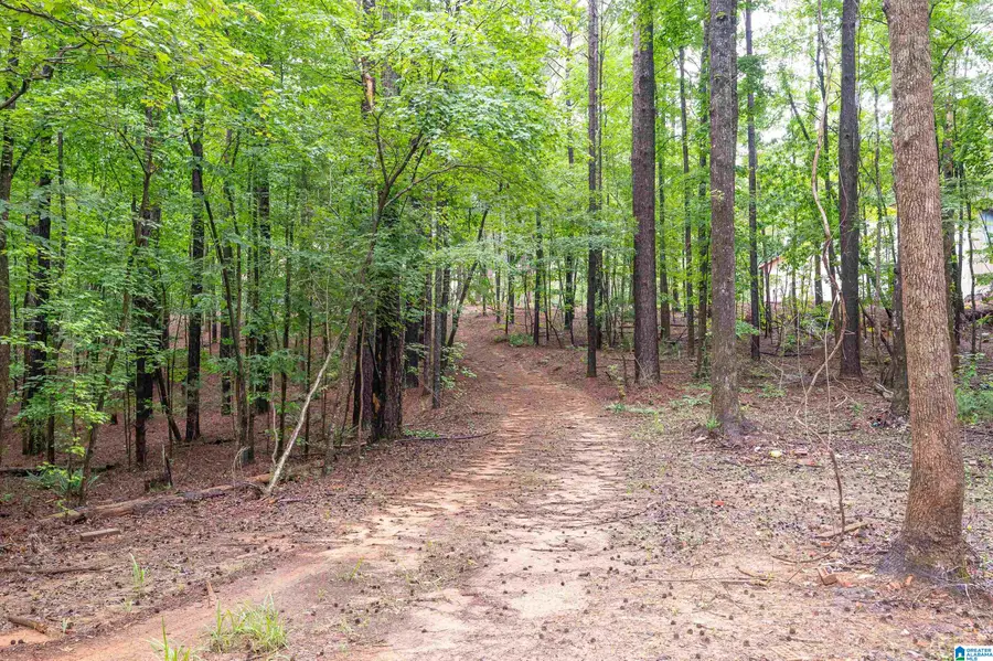284 NICHOLS ROAD, Chelsea, AL 35043 - #2