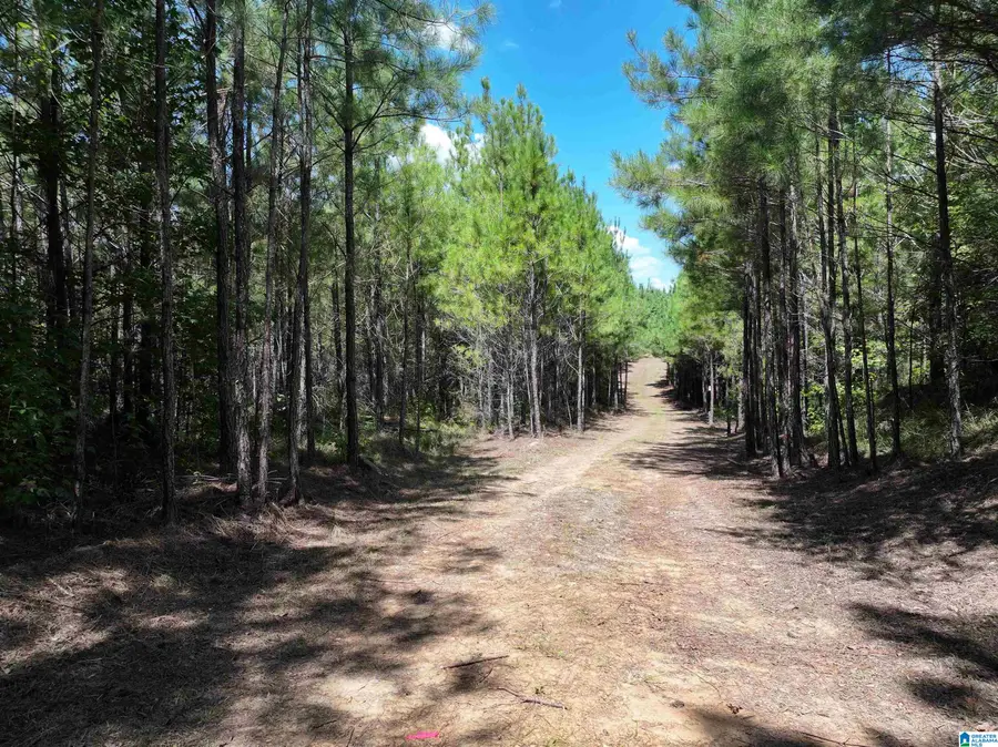 0 JOHNS ROAD, Bessemer, AL 35023 - #3