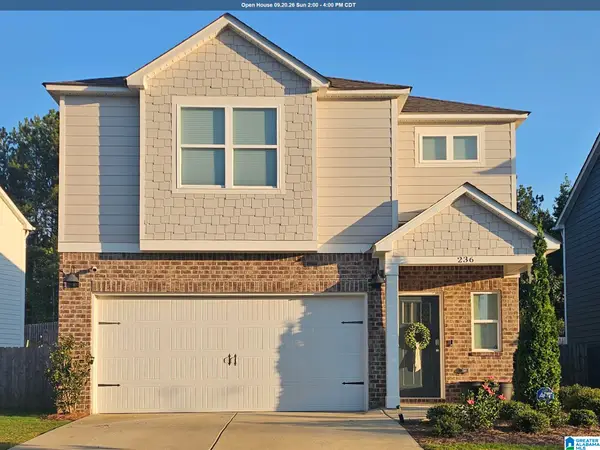 236 CHELSEA PARK CIRCLE, Chelsea, AL 35043