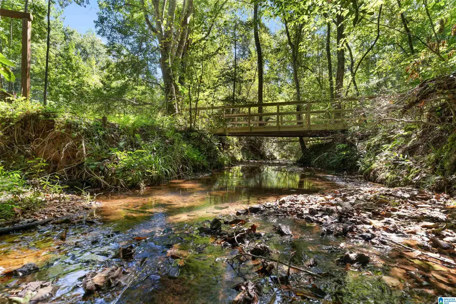 561 DEER TRAIL ROAD, Daviston, AL 36256 - #3