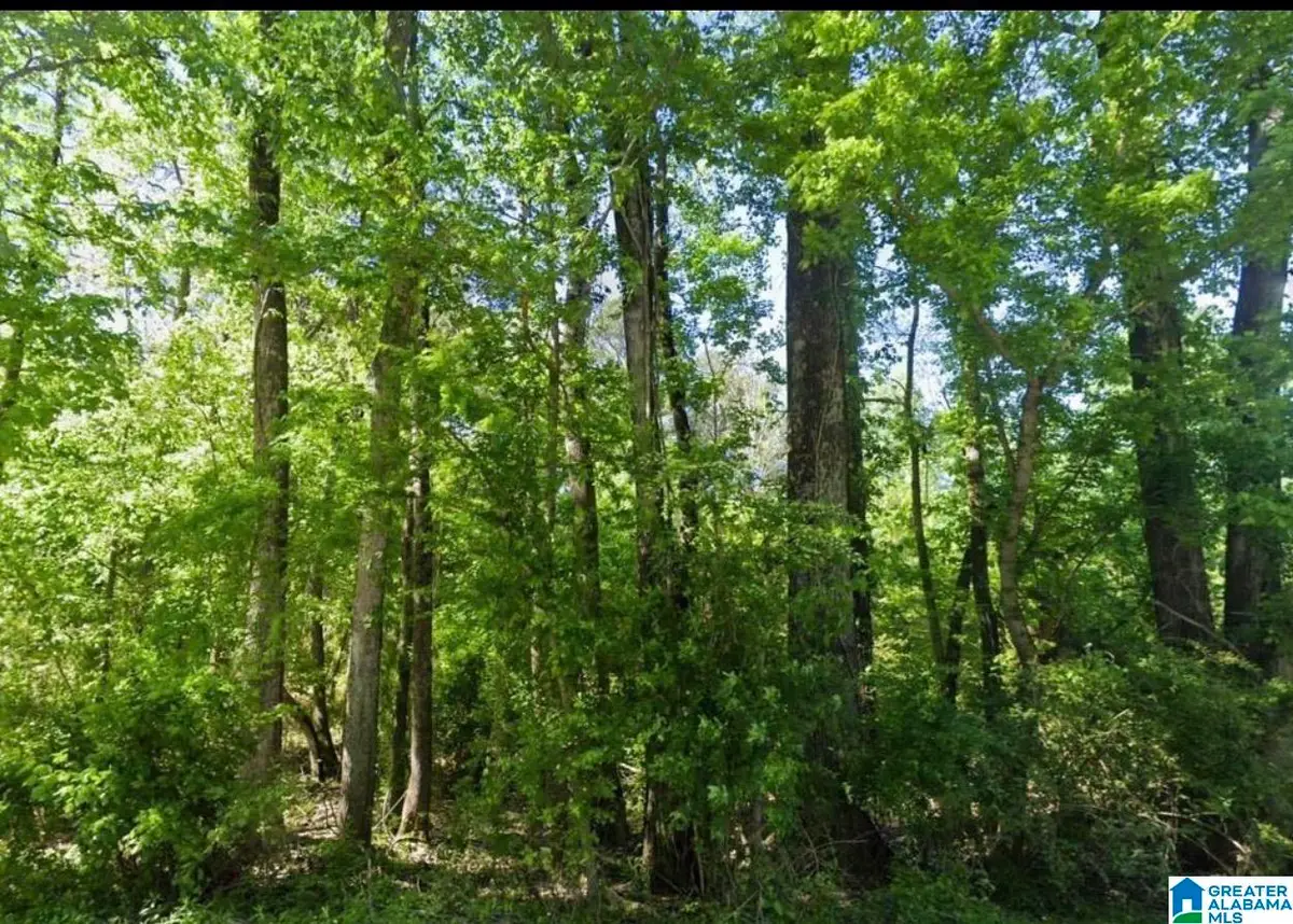 0 GLOVERS FERRY ROAD, Talladega, AL 35160 - #1
