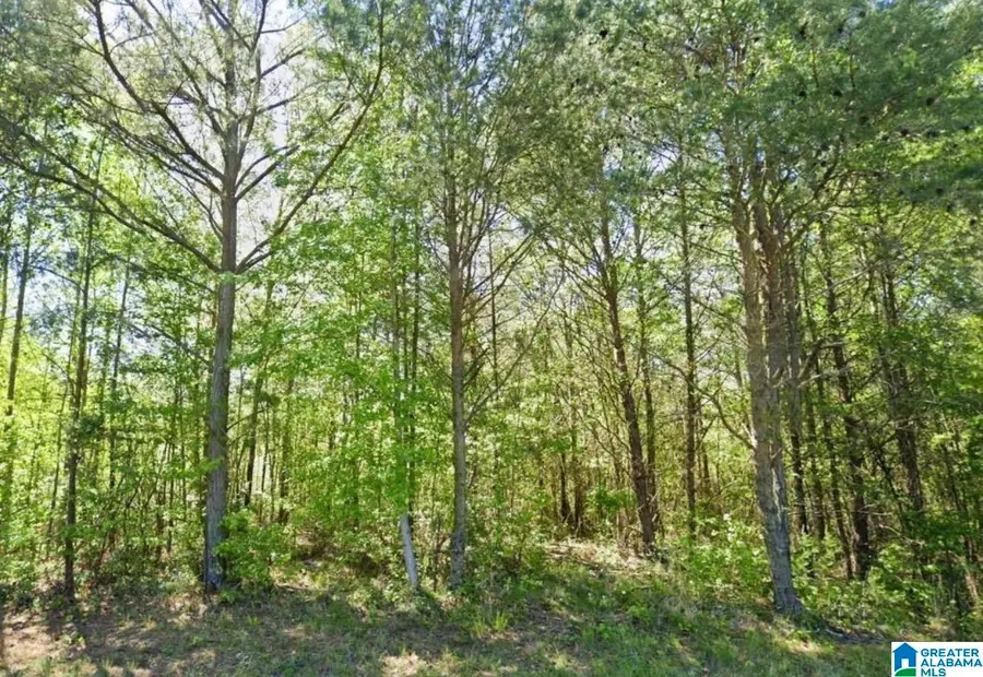 0 GLOVERS FERRY ROAD, Talladega, AL 35160 - #2
