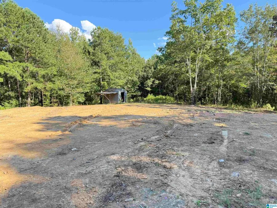 896 ROCKY RIDGE ROAD, Odenville, AL 35120 - #2