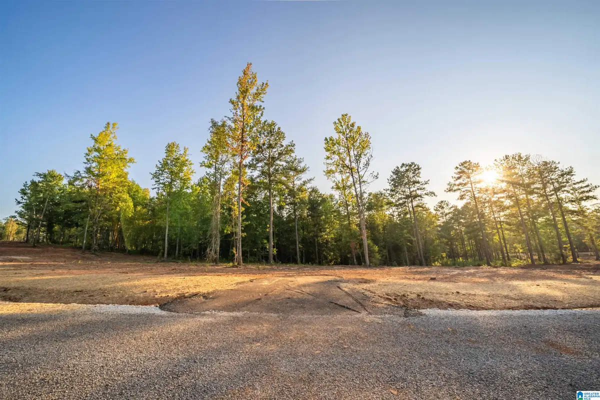 Lot17 Cam's Cov OLD HIGHWAY 431, Wedowee, AL 36278 - #1