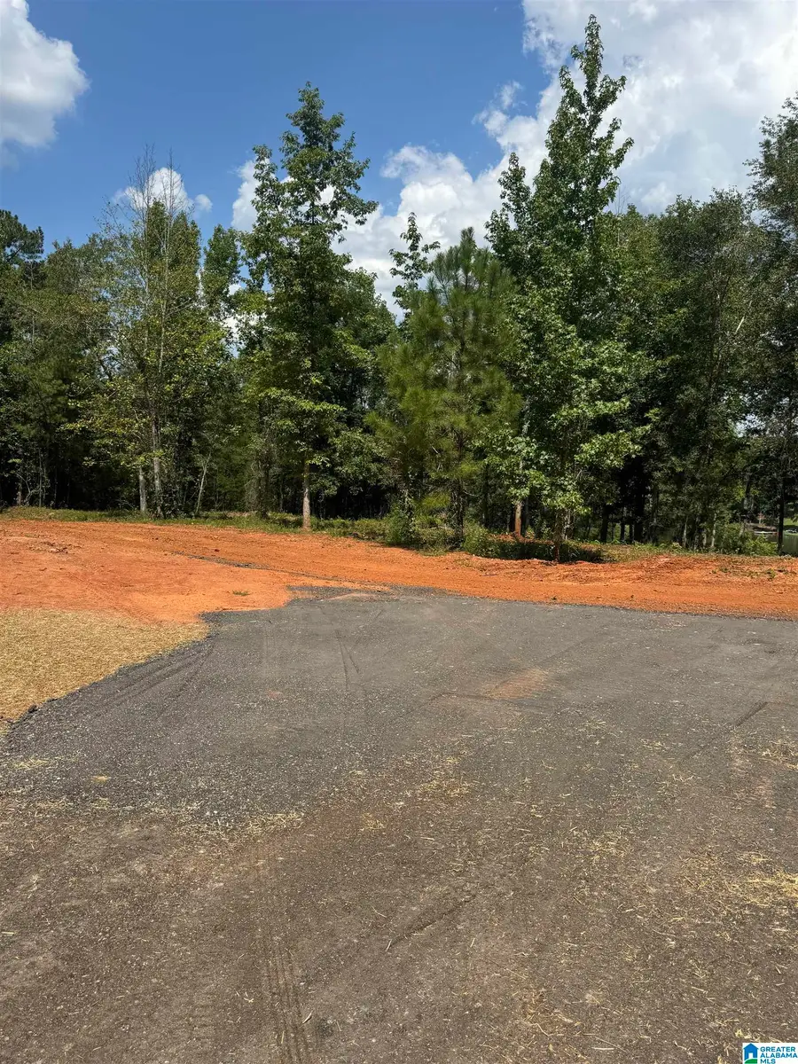 Lot17 Cam's Cov OLD HIGHWAY 431, Wedowee, AL 36278 - #2