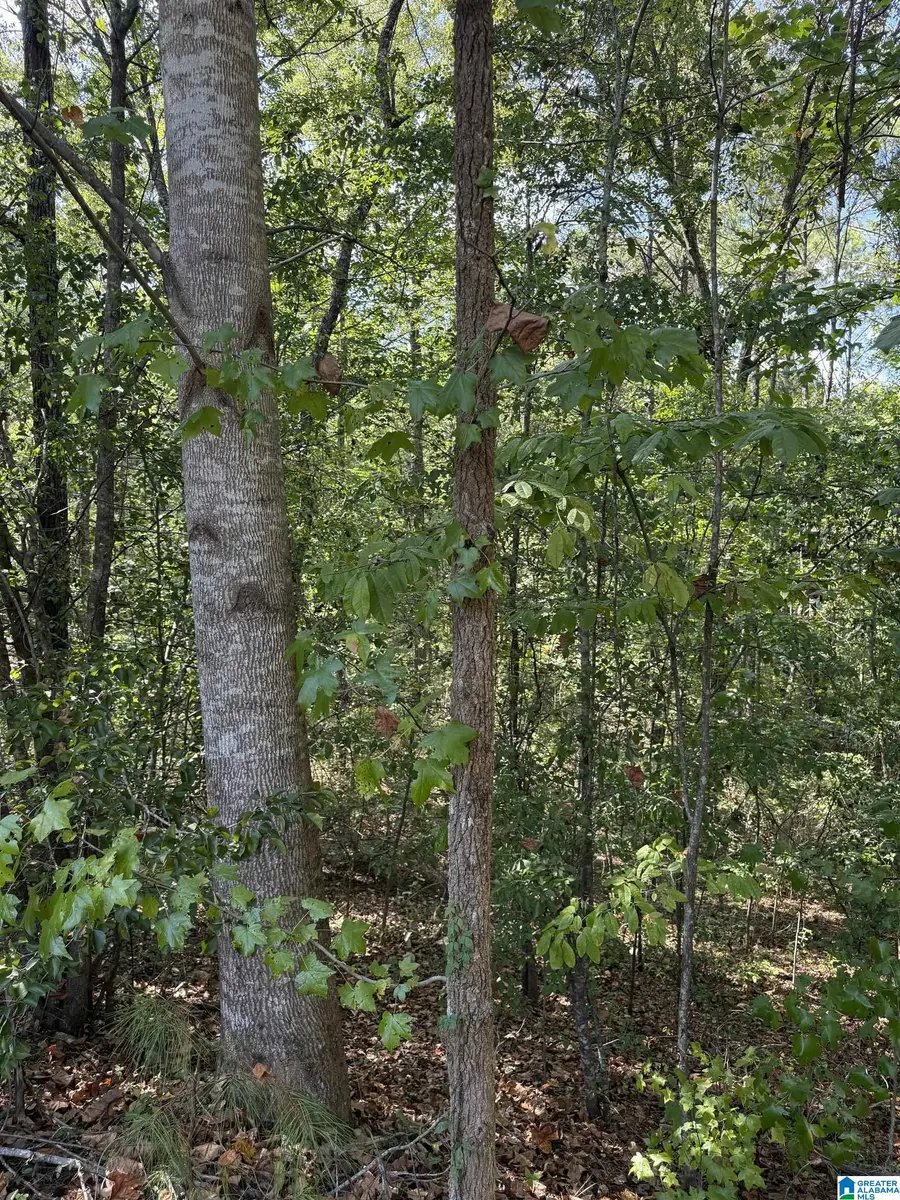 67 QUAIL COURT, Wilsonville, AL 35186 - #2