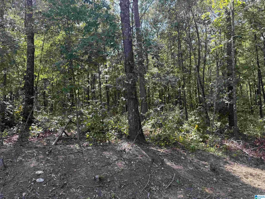 67 QUAIL COURT, Wilsonville, AL 35186 - #3
