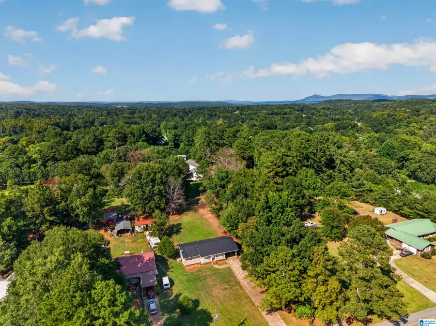 516 MEHARG STREET, Weaver, AL 36277 - #3