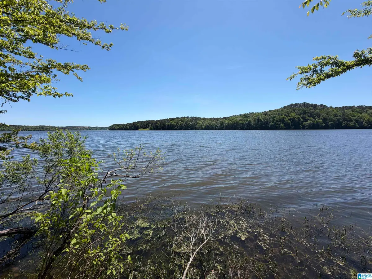 STILLWATERS TRAIL, Sylacauga, AL 35151 - #1