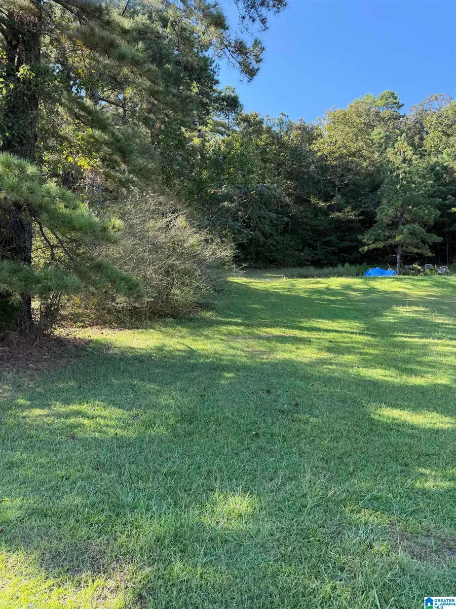 DOLISKA ROAD, Quinton Wegra, AL 35130 - #2