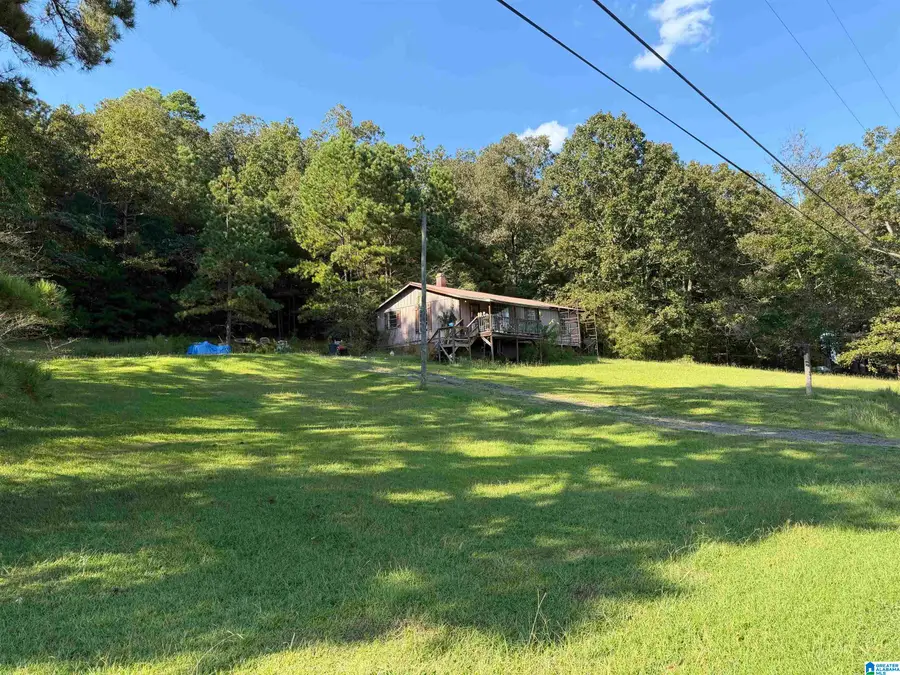 DOLISKA ROAD, Quinton Wegra, AL 35130 - #3