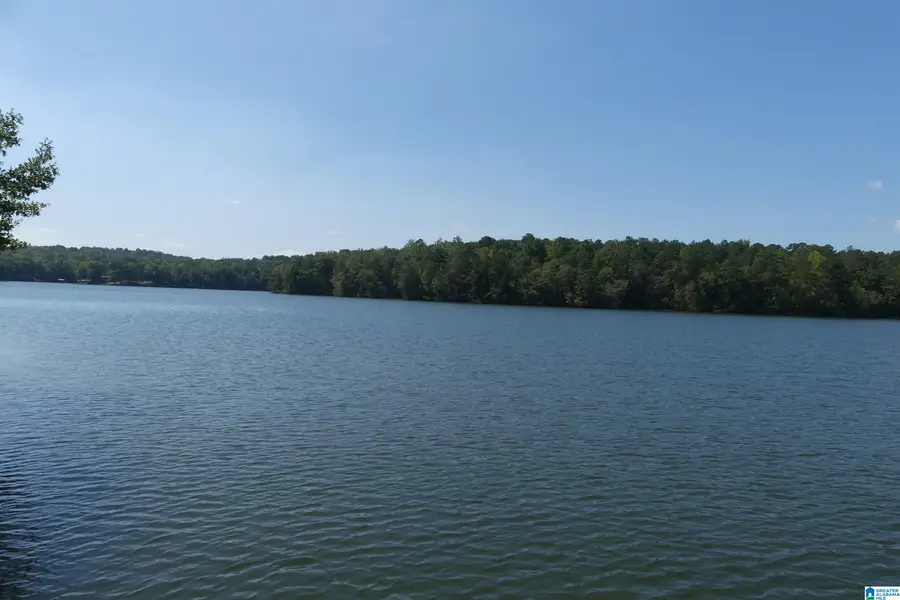 2425 COUNTY ROAD 6, Wedowee, AL 36278 - #2