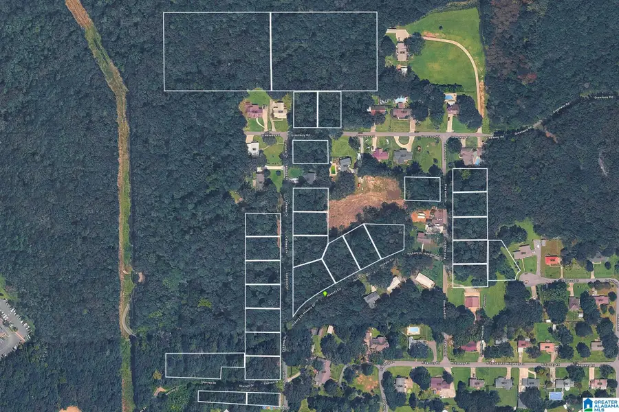 2 CALLAWAY DRIVE, Pell City, AL 35128 - #2