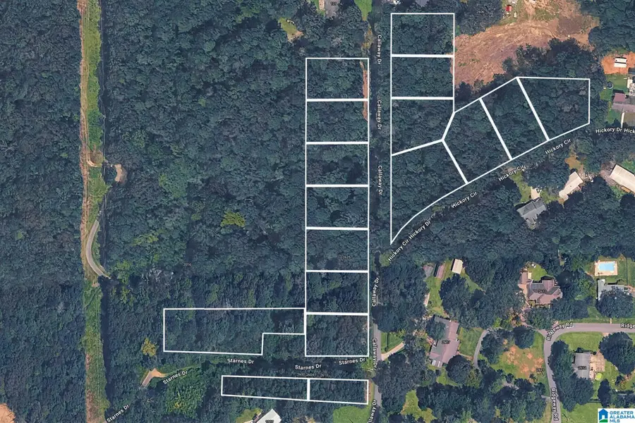 2 CALLAWAY DRIVE, Pell City, AL 35128 - #3